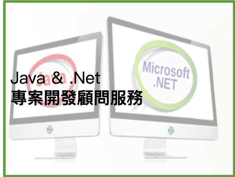 ReadyCom - Java & .Net project develop consultant services